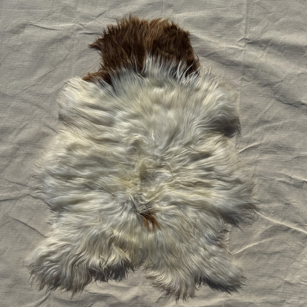 Unique Rare Icelandic Sheepskin | White & Chestnut - CIORA SCOTLAND