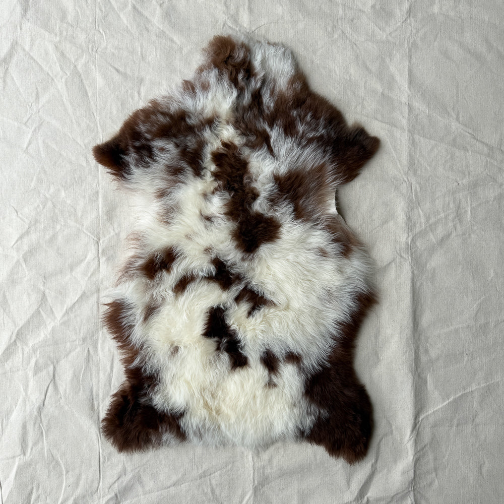 Jacob Natural Rare-Breed Sheepskin - Unique Colour Pattern (30)