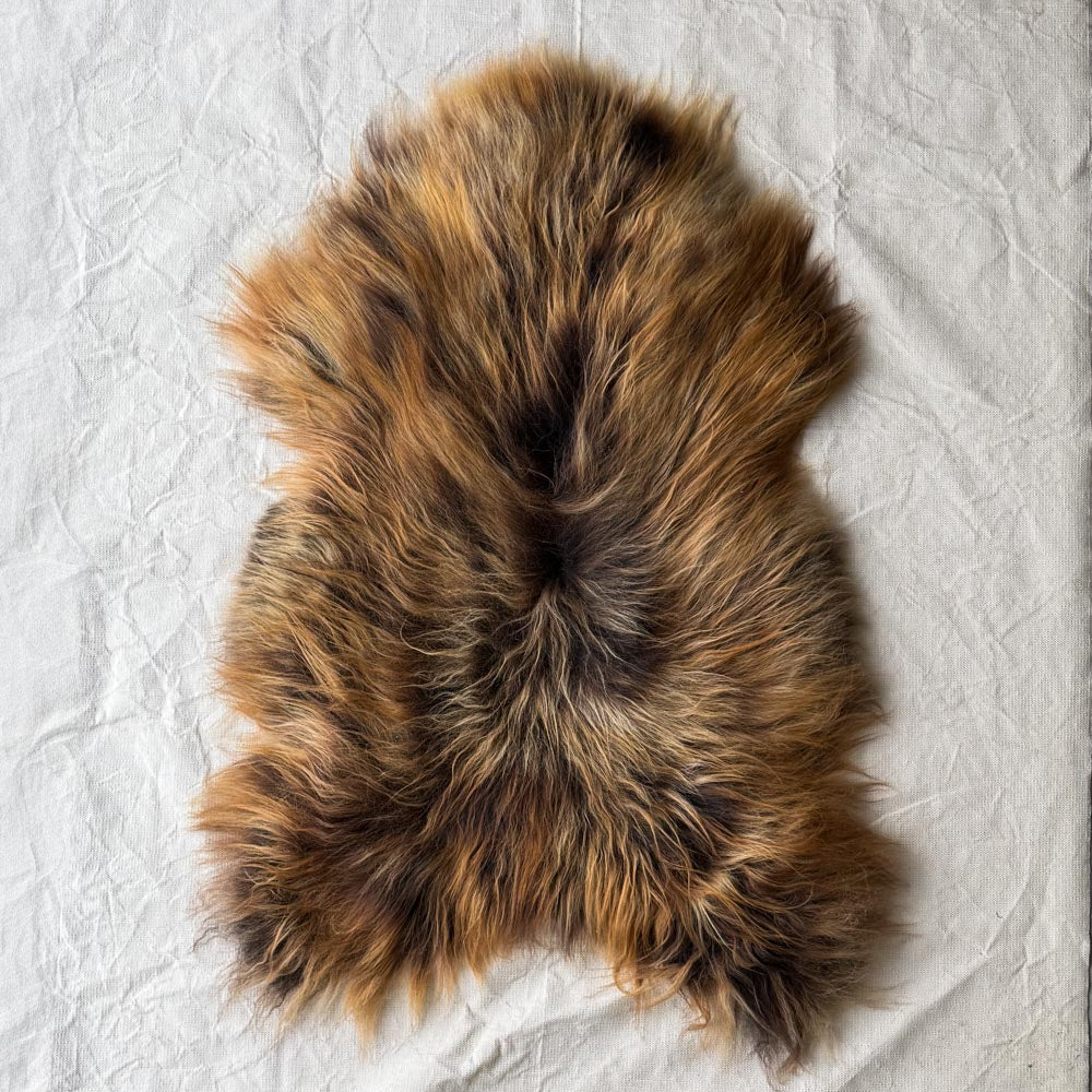 Unique Rare Icelandic Sheepskin | Auburn - CIORA SCOTLAND