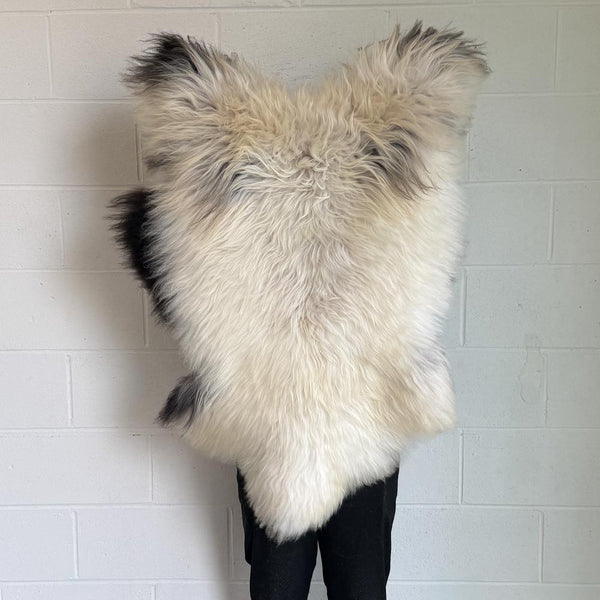 Unique Rare Icelandic Sheepskin | Ivory with Chestnut Lowlights - CIORA ...