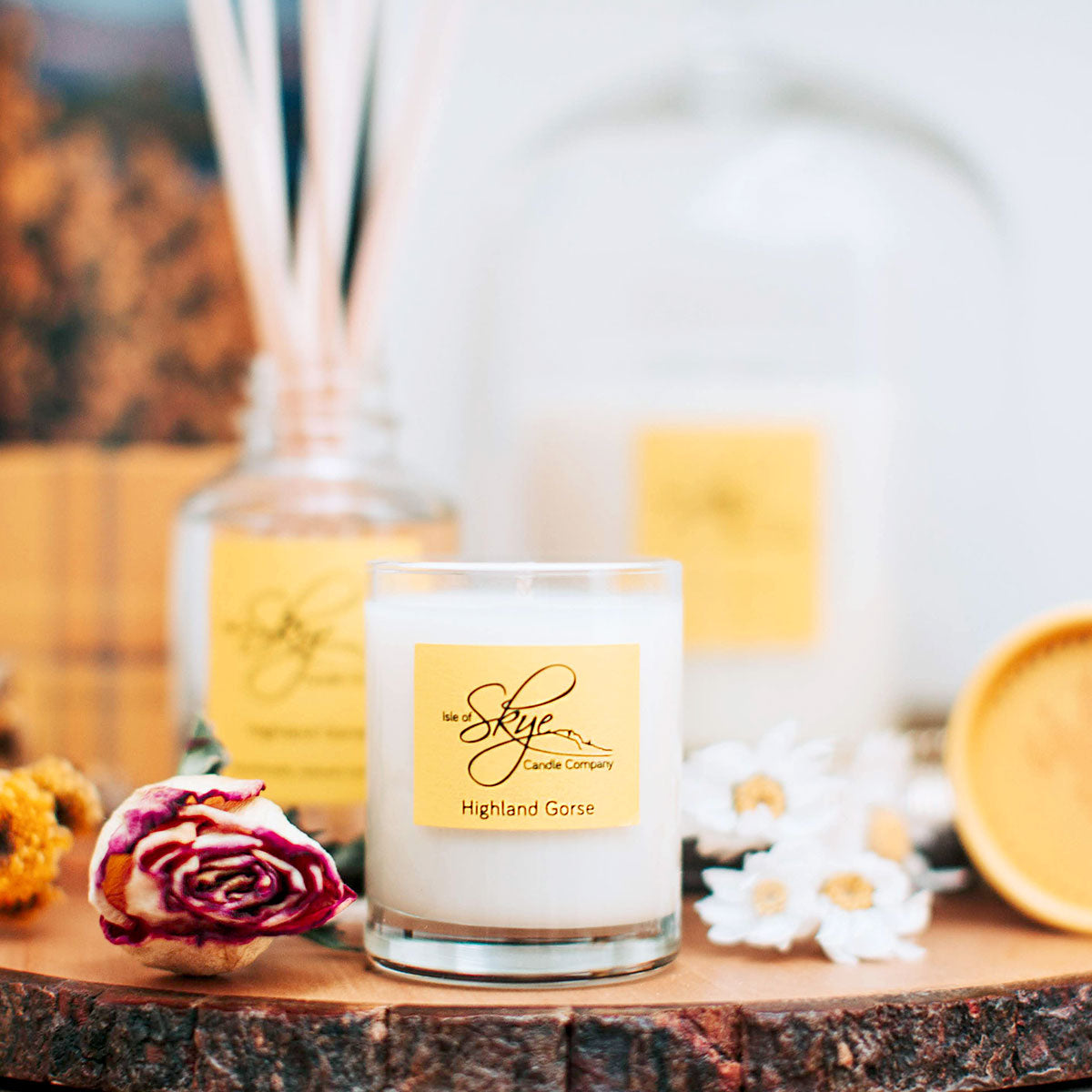 Scottish Collection Candle - Highland Gorse
